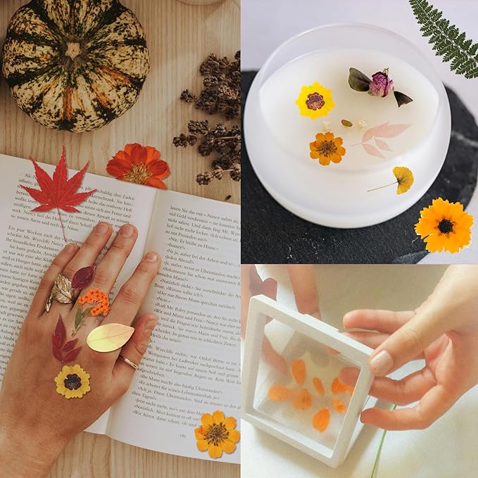 CONVELIFE Dried Flowers, 68Pcs Fall Pressed Flower with Tweezer for Crafts DIY Christmas Scrapbooking