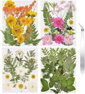 CONVELIFE Dried Flowers for Resin, 68pcs Bulk Real Natural Pressed Flowers for DIY Art Crafts, Epoxy Jewelry, Candle, Soap Making, Nails Decor, Phone Case