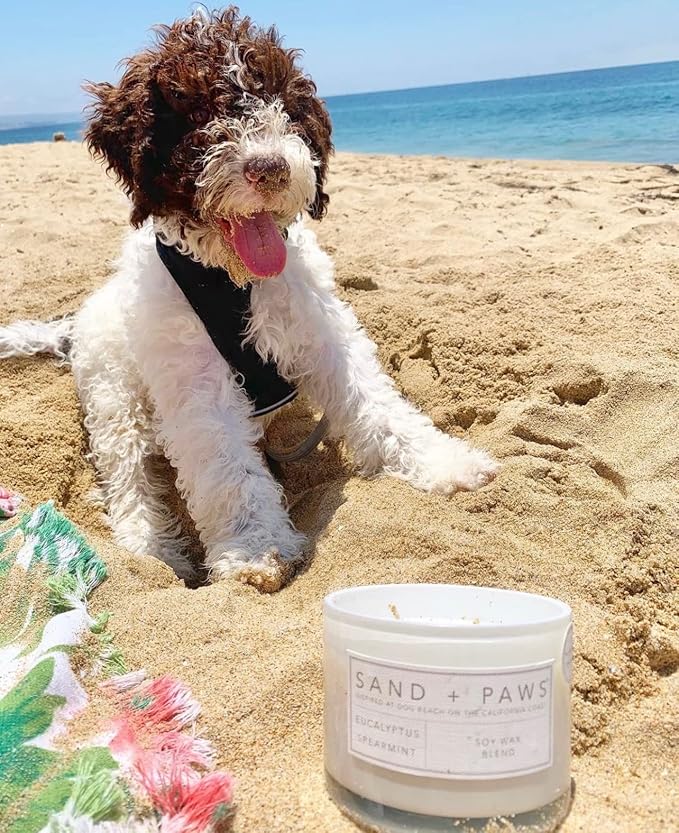 Sand + Paws Scented Candle - Pumpkin Spice - Additional Scents and Sizes –Luxurious Air Freshening Jar Candles Neutralize pet Odors and Enhance Home décor – 100% Cotton Lead-Free Wicks - 21 oz
