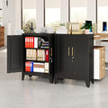 Black Metal Storage Cabinet, 36" Tall Locking Storage Cabinet with 2 Adjustable Shelves, Steel Locker Organizer, for Office, Home, School, 11.81" D x 23.62" W x 35.83" H, 2PS