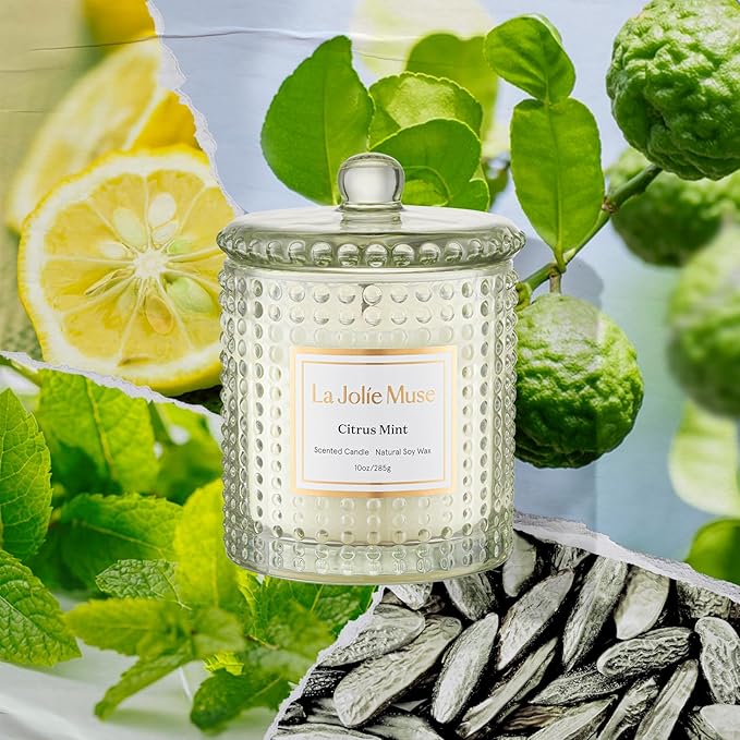 LA JOLIE MUSE Citrus Mint Candle, Candles for Home Scented, Luxury Eucalyptus Candles Gifts for Women & Men, Natural Soy Wax, 75 Hours 10 OZ