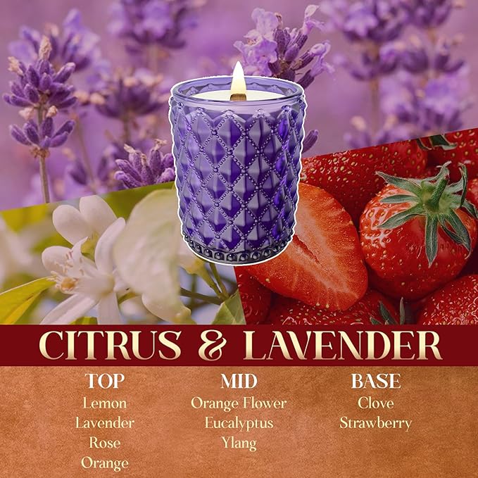 M&SENSE Citrus & Lavender Scented Candle | 17.64OZ, 100-Hour Burn | Natural Non-Toxic Soy Wax | Long-Lasting for Mood Healing and Gifting | for Bathroom, Kitchen, Office