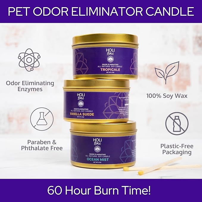 HOLI Pet Odor Eliminator Candle – Tropicale Scent – All Natural Soy Wax, Paraben & Phthalate Free, Pet Safe, Long-Lasting 60-Hour Burn, Non-Toxic & Plastic-Free Air Freshener for Home