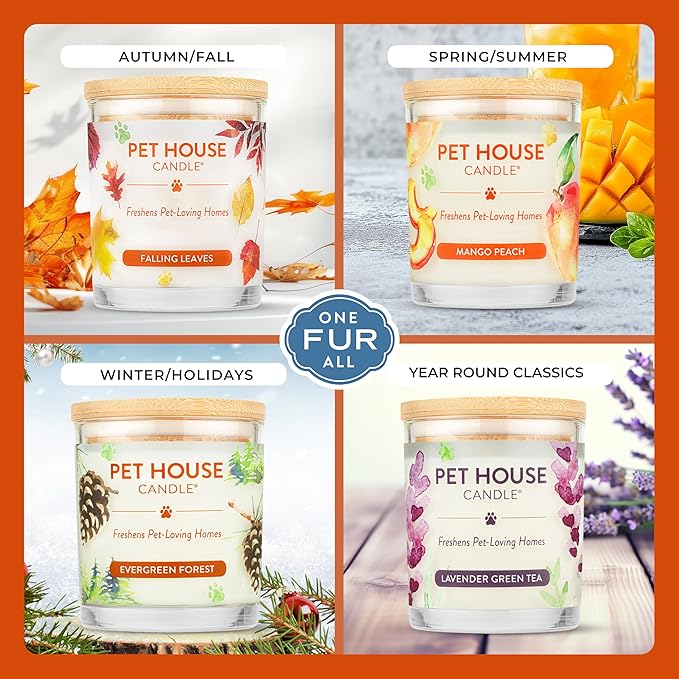 One Fur All Pet House Fall Candles, Long Lasting, Clean Burning, Soy Wax Scented Candles for Pet Odor, Apple Cider