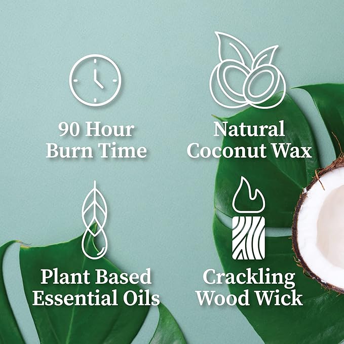 Hemlock Park Crackling Wood Wick Candle Handcrafted with Natural Coconut Wax (Large 16 oz, Lavender)