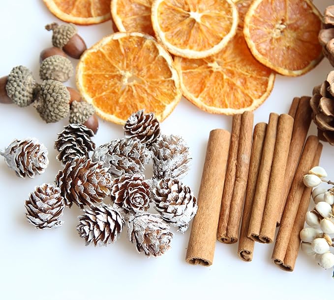 DIY Natural Dried Flower Kit - Bulk Dried Plants, Pine Cones, Scented Lemon Slices, Cinnamon Sticks Wood Roses & Mini Pinecones for Home Décor, Christmas Decoration (Orange - B)