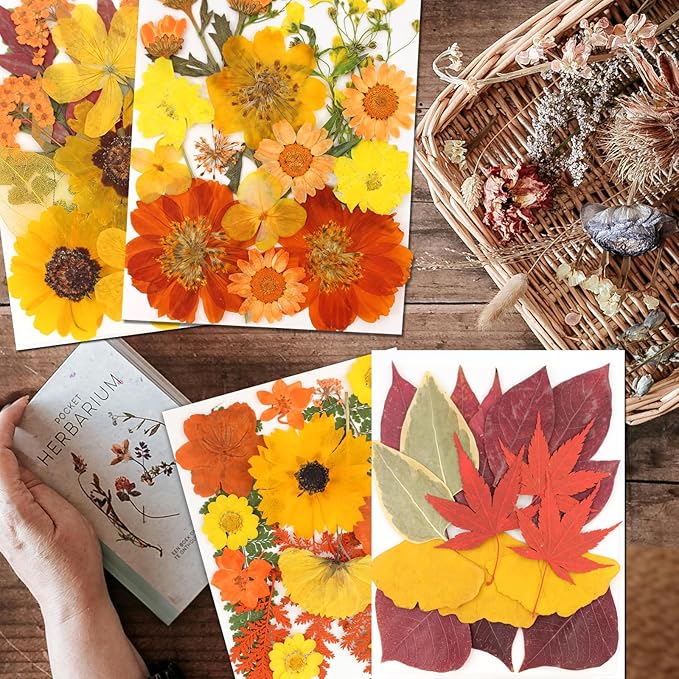 CONVELIFE Dried Flowers, 68Pcs Fall Pressed Flower with Tweezer for Crafts DIY Christmas Scrapbooking
