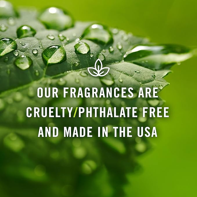 P&J Trading Fragrance Oil Barbershop Set | Leather, Teakwood, Clove, Bay Rum, Bergamot, Thyme Candle Scents for Candle Making, Freshie, Soap Making Supplies, Diffuser Oil Scents