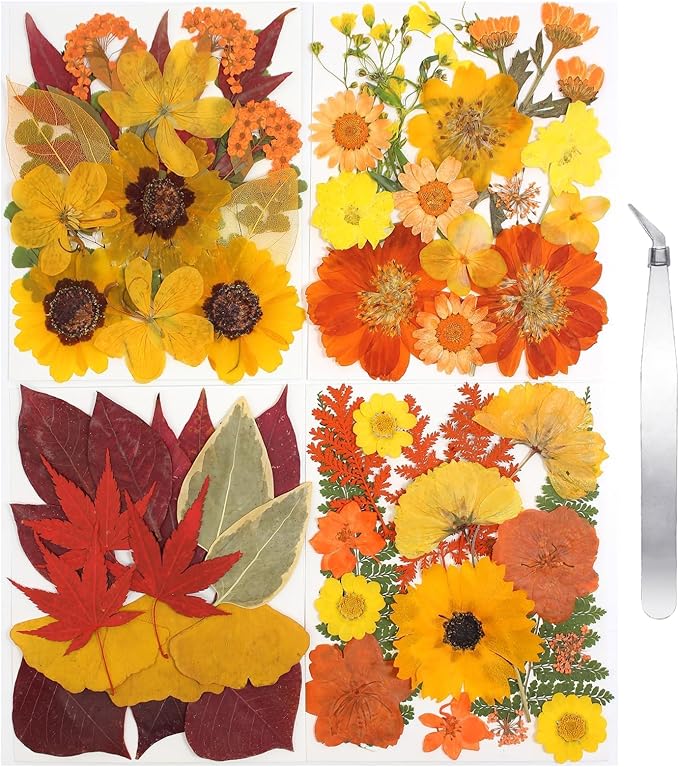 CONVELIFE Dried Flowers, 68Pcs Fall Pressed Flower with Tweezer for Crafts DIY Christmas Scrapbooking