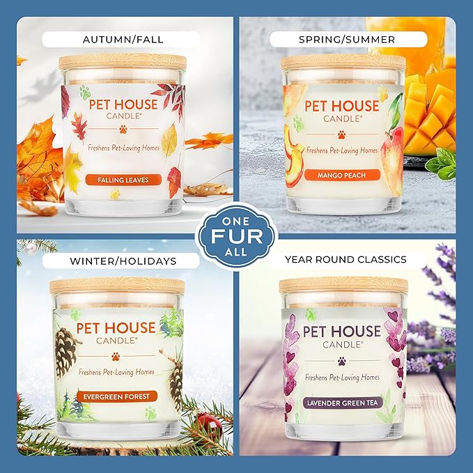 One Fur All Pet House Candle Plant-Based/Soy - Clean Burning Scented, Long Lasting Pet Odor Candle for Home - Red Currant