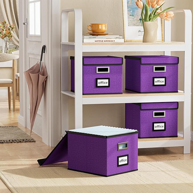Huolewa File Organizer Box with Lid, Collapsible File Folder Organizer for Office Document Storage, Filing Box with Plastic Slide for Letter Size Hanging File Folders(1 Pack, Purple)