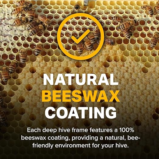Mann Lake Premium Beekeeping Frames, Fully Assembled, Deep Rite-Cell Hive Frames, Beeswax Coating, Universal Fit, BPA & BPS Free, 6 1/4 Inches, Black, 20-Pack