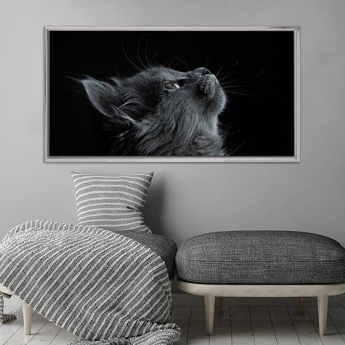 Pixy Canvas Floater Frame 10x12 for 3/4 (0.75) inch Deep Canvas Paintings/Canvas Prints/Wood Canvas Panels/Wall Art/Wall Decor/Home Decor/Artwork (Chrome, 10 x 12 inch, Landscape)