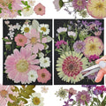 CONVELIFE White Dried Pressed Flowers, 40Pcs Real Nature Flowers Set with Tweezers, Pressed Flowers for Resin DIY Jewelry Candle Soap Vase Making Nail Card Scrapbook Art Craft Floral Decors