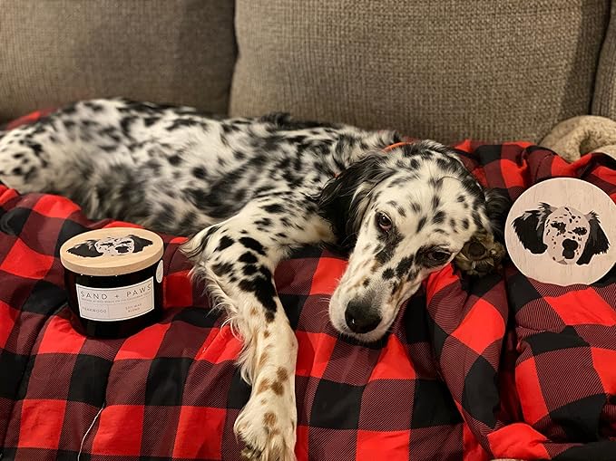 Sand + Paws Scented Candle - Amber & Fig - Additional Scents and Sizes –Luxurious Air Freshening Jar Candles Neutralize pet Odors and Enhance Home décor – 100% Cotton Lead-Free Wicks - 12 oz