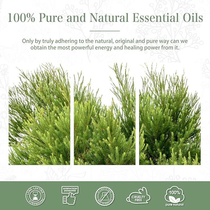 PHATOIL 1.01FL.Oz Tea Tree Essential Oil, for Aromatherapy Diffusers, Humidifiers, Great for DIY Candle and Soap Making, Gift for Friend(30ML)