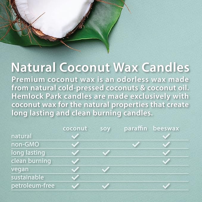 Hemlock Park Crackling Wood Wick Candle Handcrafted with Natural Coconut Wax (Large 16 oz, Teakwood)