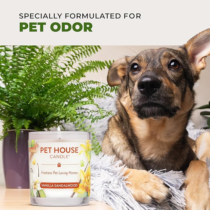 One Fur All Pet House Candle Plant-Based/Soy - Clean Burning Scented, Long Lasting Pet Odor Candle for Home - Fresh Citrus