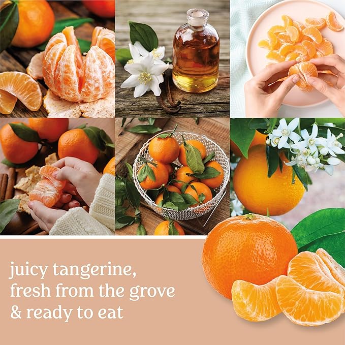 Yankee Candle Concentrated Air Freshener Room Spray, Odor Eliminator for Home, Bathroom, Tangerine & Vanilla, 1.5 Oz (Pack of 6)