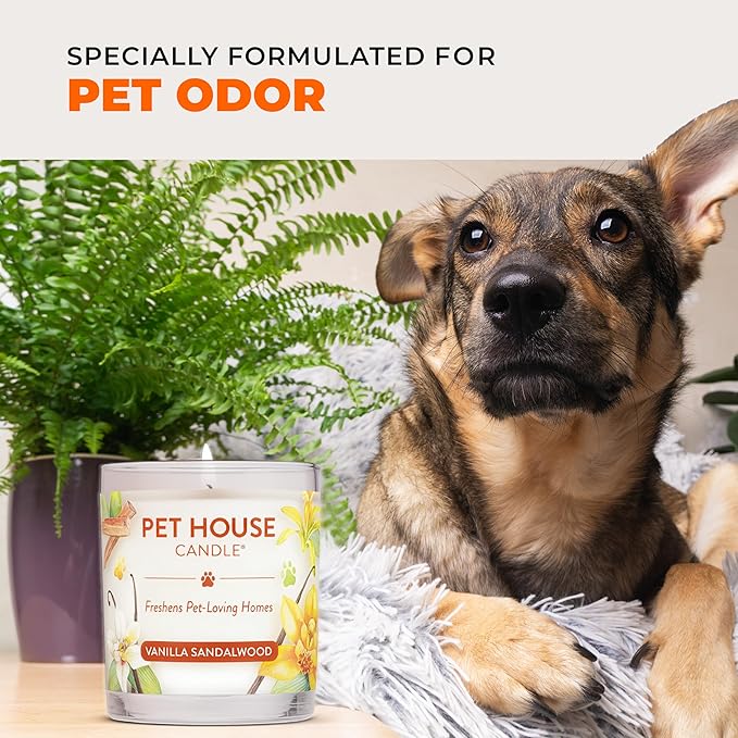 One Fur All Pet House Fall Candles, Long Lasting, Clean Burning, Soy Wax Scented Candles for Pet Odor, Caramel Latte, 2 Pack