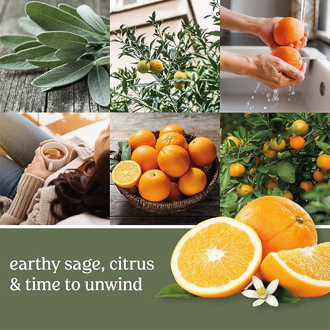 Yankee Candle Paper Car Jar, Sage & Citrus (Pack of 1)