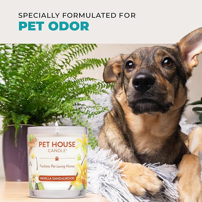 Pet House Scented Candles, 100% Plant-Based, Long Lasting Candle with a 60 Hour Burn Time, Made for Pet Odors - Mediterranean Sea