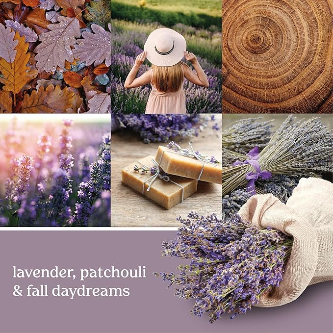 Yankee Candle Concentrated Air Freshener Room Spray, Odor Eliminator for Home, Bathroom, Dried Lavender & Oak, 1.5 Oz (Pack of 3)